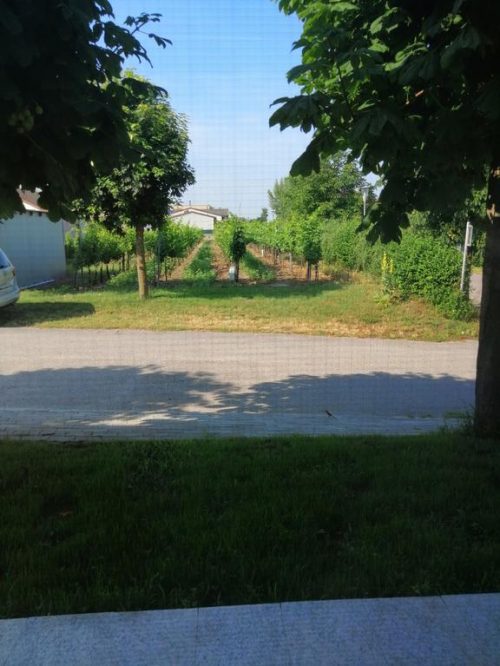 Ansicht SÜD